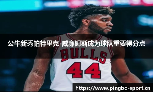 平博体育官方网站