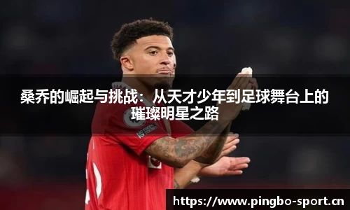 平博体育官方网站