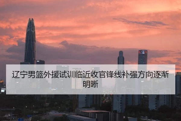 辽宁男篮外援试训临近收官锋线补强方向逐渐明晰